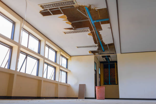 Best 24-hour water damage restoration  in Frederickson, WA