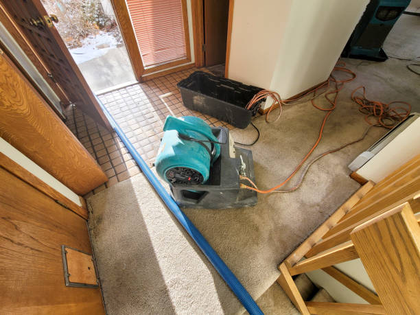 Best Professional water damage repair  in Frederickson, WA