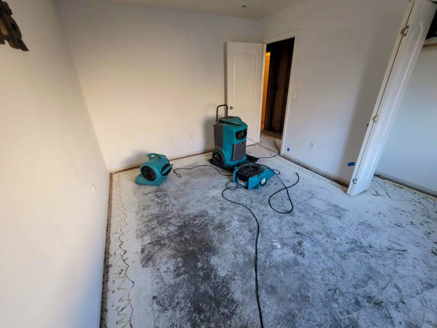 Reliable WA Water damage restoration Solutions