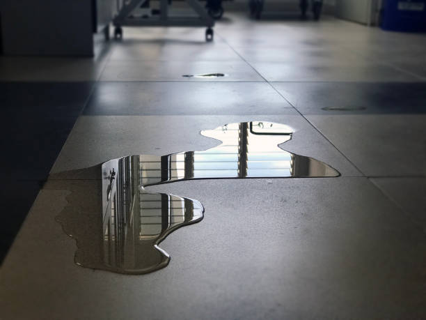 Best Water damage mitigation services  in Frederickson, WA