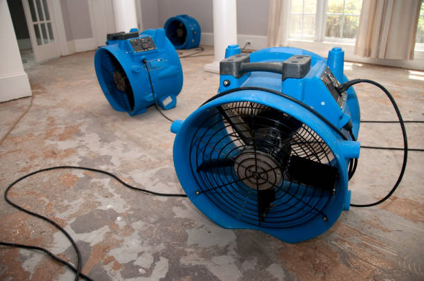 Best Fire Damage Restoration  in Frederickson, WA