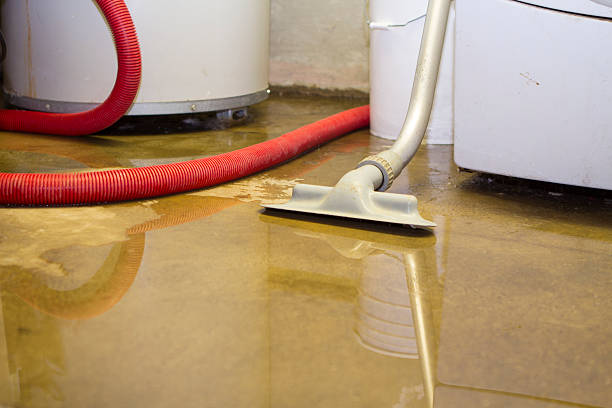 Best Flood damage cleanup  in Frederickson, WA