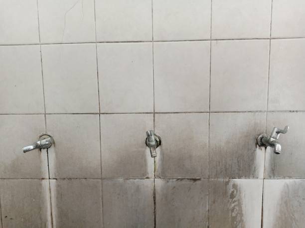 Best Emergency water damage restoration  in Frederickson, WA