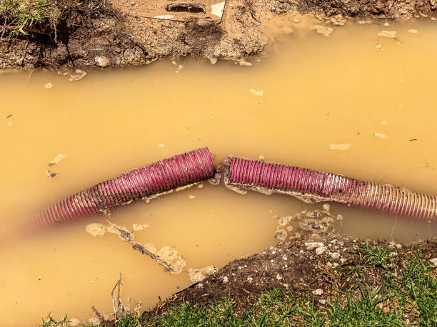 Best Water damage restoration specialists  in Frederickson, WA
