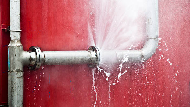 Best Basement water damage restoration  in Frederickson, WA